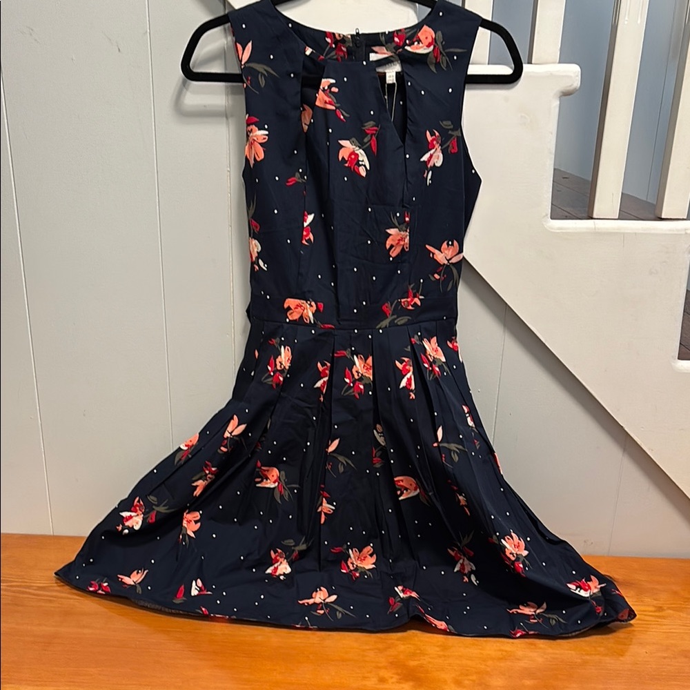 APRICOT Blue and Pink Fit and Flare Mini Dress Wedding Guest